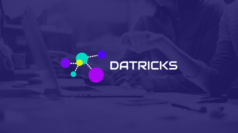 Datricks Y Combinator инвестиции