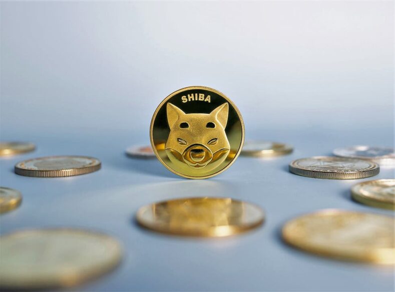 Пользователь заработал миллиарды на shiba inu coin