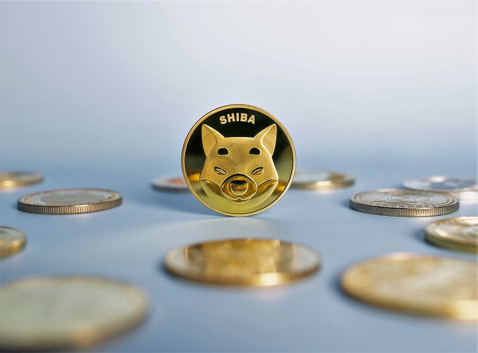 Американская семья вложила $8000 в shiba inu coin и заработала $9 млн | Vector