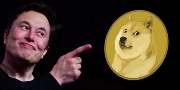 Tesla запустила оплату Dogecoin