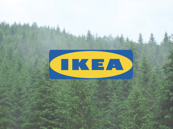 IKEA призупинила закупки української деревини