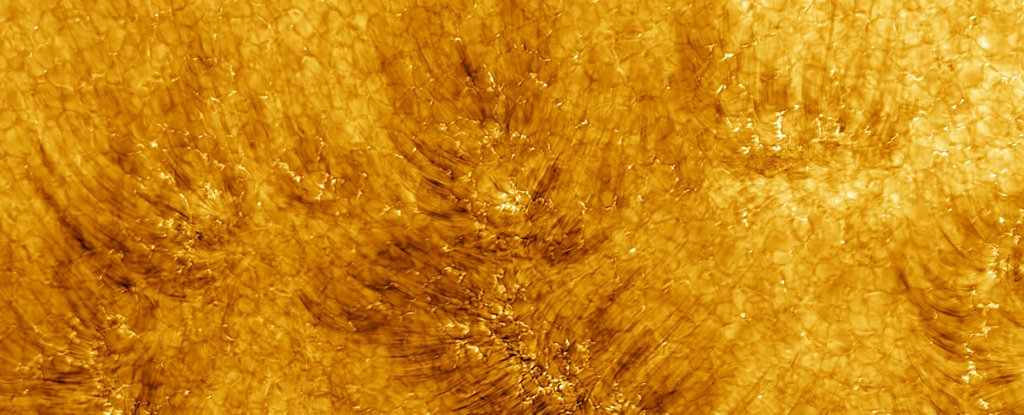 Хромосома Сонця