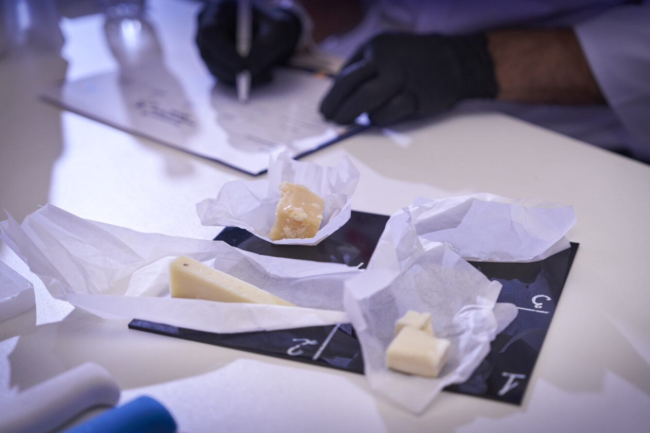 syrna-ekonomika-hto-taki-chyzmongery-ta-yak-vony-zminyuyut-rytejl-i-gastroturyzm Фестиваль сирного мистецтва ProCheese Awards