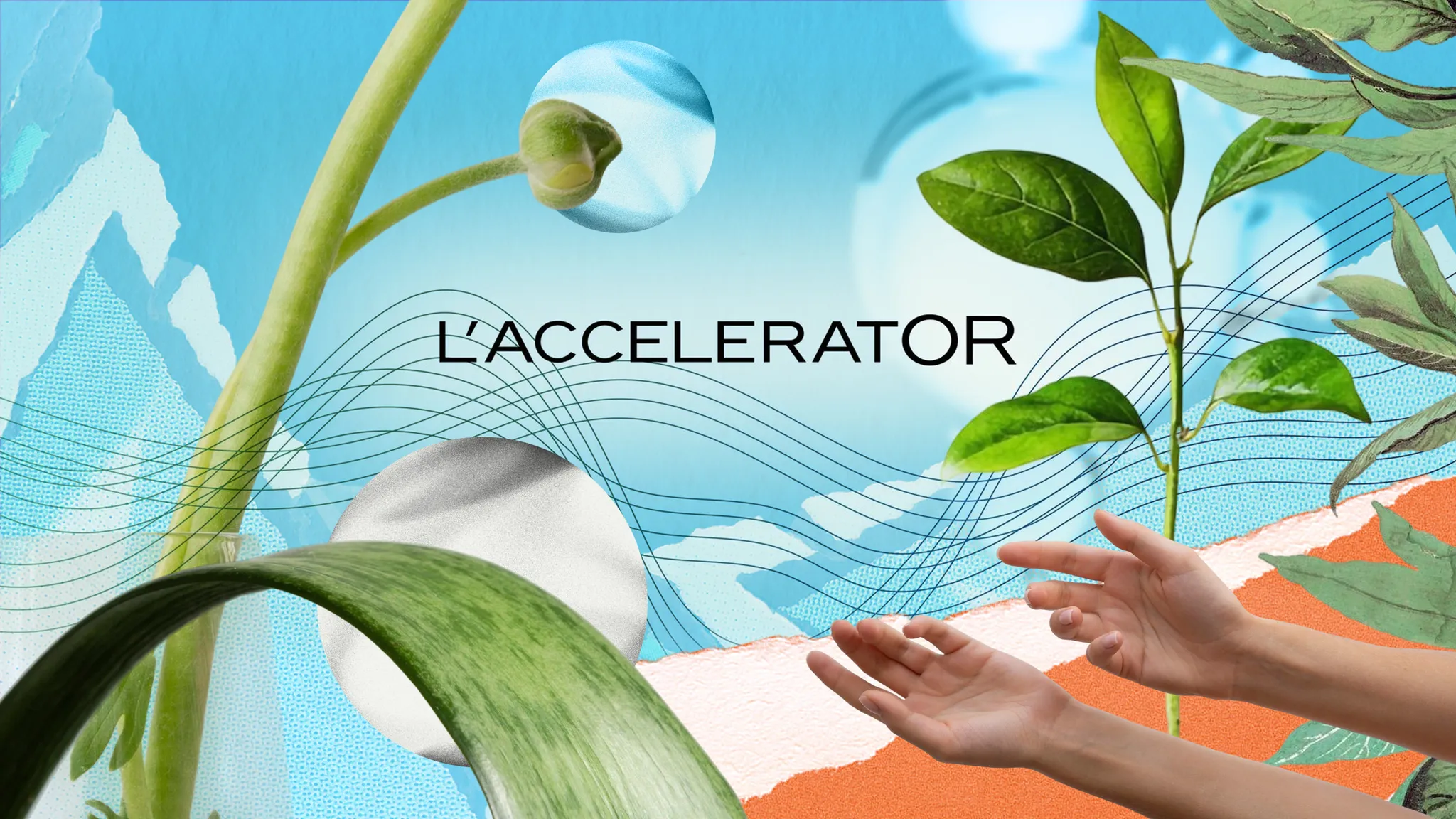 Паковання з морських водоростей та біопластик: які стартапи увійшли до програми сталих рішень L’Oréal та CISL?